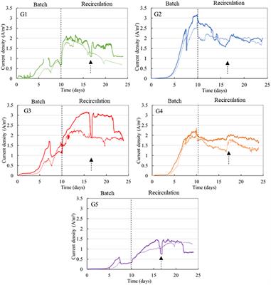 Benchmarking of Industrial Synthetic Graphite Grades, Carbon Felt, and Carbon Cloth as Cost-Efficient Bioanode Materials for Domestic Wastewater Fed Microbial Electrolysis Cells